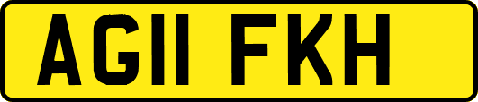 AG11FKH