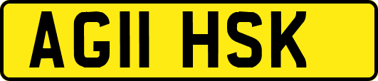 AG11HSK