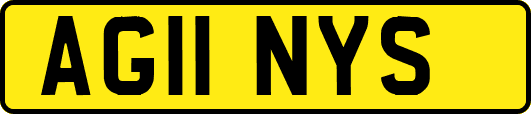 AG11NYS