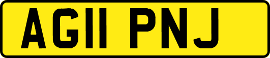 AG11PNJ