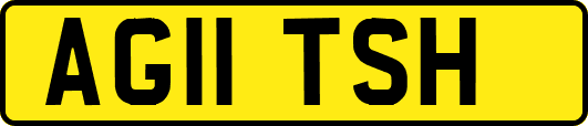 AG11TSH