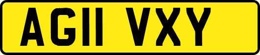 AG11VXY