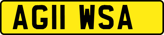 AG11WSA