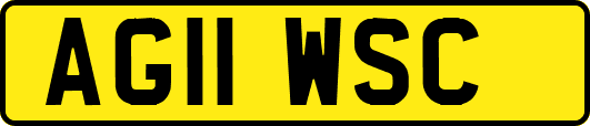 AG11WSC