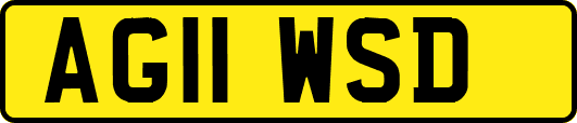 AG11WSD
