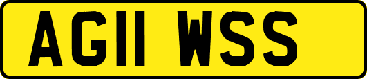 AG11WSS
