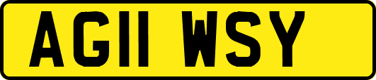 AG11WSY