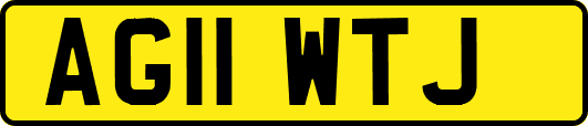AG11WTJ