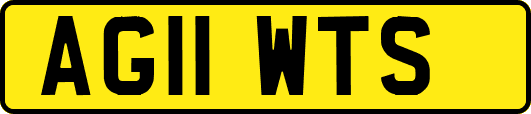 AG11WTS