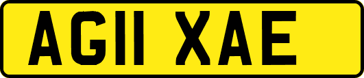 AG11XAE