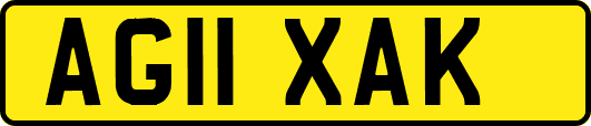 AG11XAK
