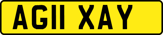 AG11XAY