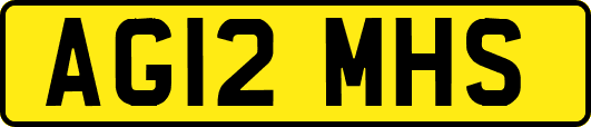 AG12MHS