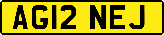 AG12NEJ