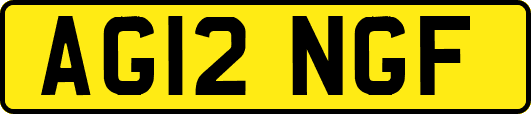 AG12NGF
