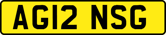 AG12NSG