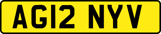 AG12NYV