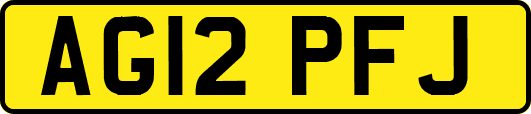 AG12PFJ