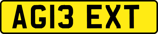 AG13EXT