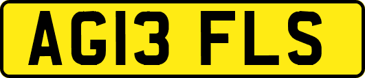 AG13FLS