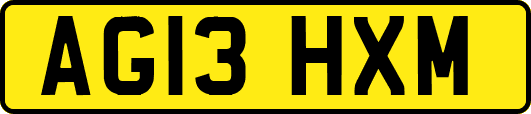AG13HXM