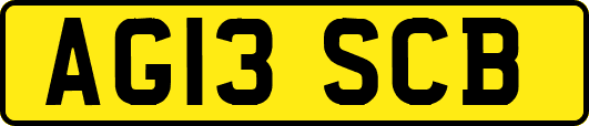 AG13SCB