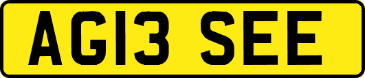 AG13SEE