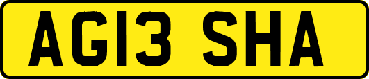 AG13SHA