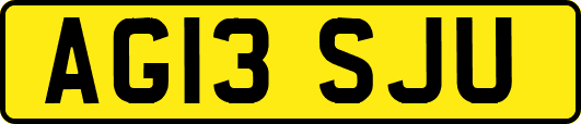 AG13SJU