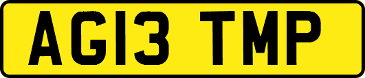 AG13TMP