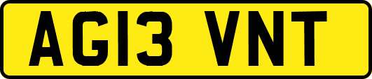 AG13VNT