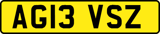 AG13VSZ