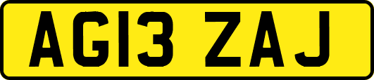 AG13ZAJ