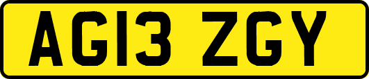 AG13ZGY