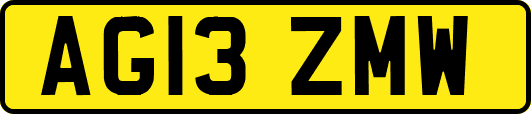 AG13ZMW