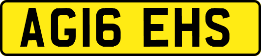 AG16EHS