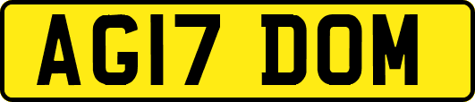 AG17DOM