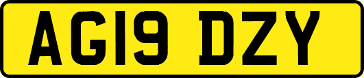 AG19DZY