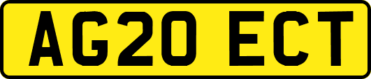 AG20ECT