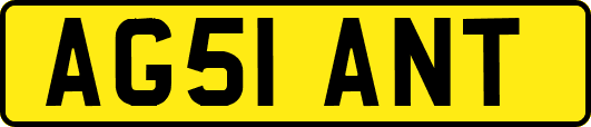 AG51ANT