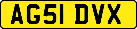 AG51DVX