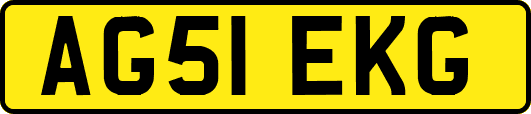 AG51EKG
