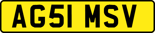 AG51MSV