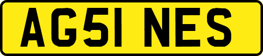 AG51NES