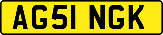 AG51NGK