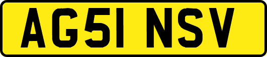 AG51NSV