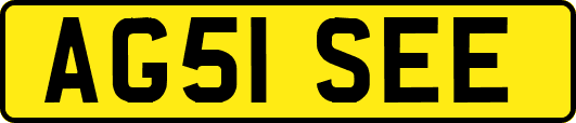 AG51SEE