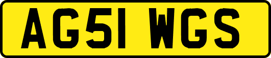 AG51WGS