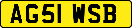 AG51WSB