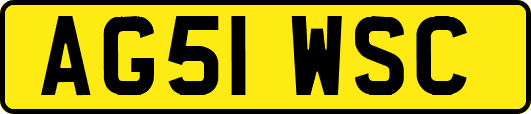 AG51WSC